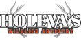 holevas-wildlife-artistry